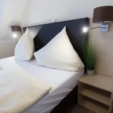 Baum's Rheinhotel 3*