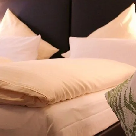 Hotel Baum's Rheinhotel