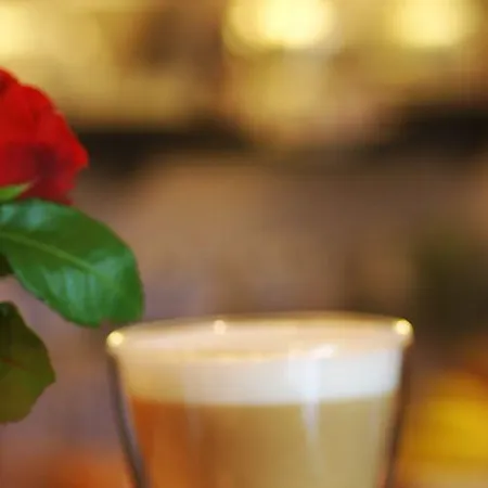 Baum's Rheinhotel 3* باد سالزج