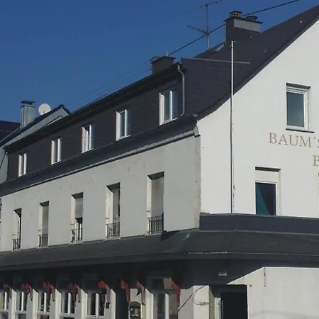 Baum's Rheinhotel Hotel 3*
