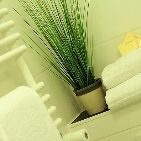 Baum's Rheinhotel 3* باد سالزج