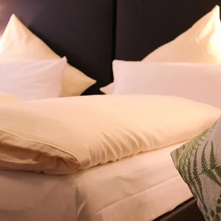 Baum's Rheinhotel Hotell 3*