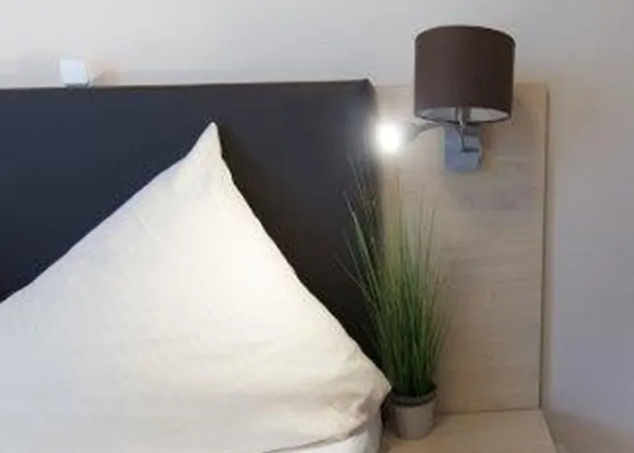 Baum's Rheinhotel מלון