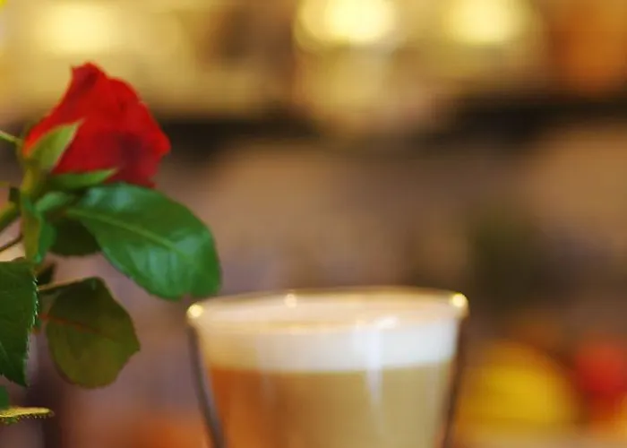 Baum's Rheinhotel 3* 바트 잘치히