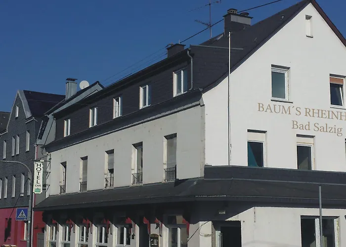 מלון Baum's Rheinhotel 3*