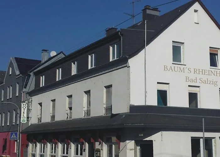 Baum's Rheinhotel 호텔 3*