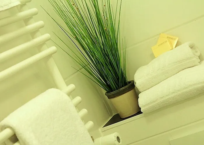 Baum's Rheinhotel 3* באד זלציג