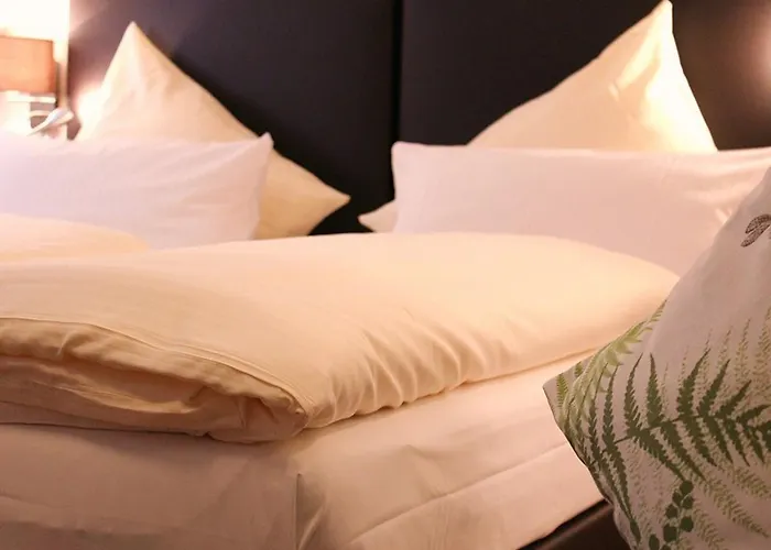 Baum's Rheinhotel 호텔 3*