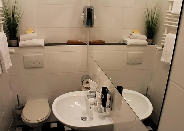 מלון Baum's Rheinhotel 3*